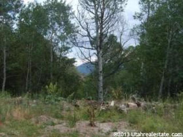 162 N E. UPPER OAKWOOD DR E, Springville, UT 84663