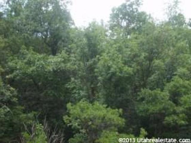 162 N E. UPPER OAKWOOD DR E, Springville, UT 84663
