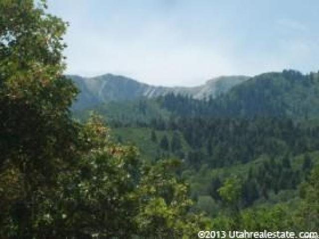 162 N E. UPPER OAKWOOD DR E, Springville, UT 84663