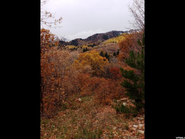 162 N E. UPPER OAKWOOD DR E, Springville, UT 84663