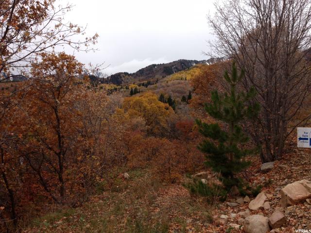 162 N E. UPPER OAKWOOD DR E, Springville, UT 84663