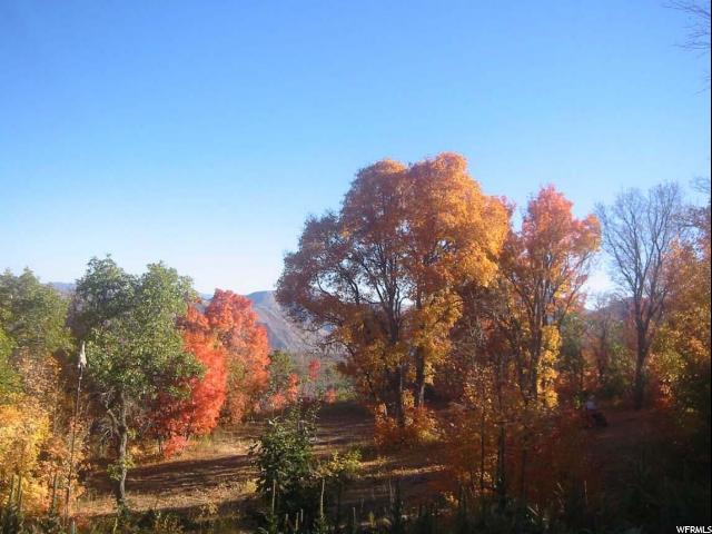 87 N UPPER WHITTEMORE DR E, Springville, UT 84663
