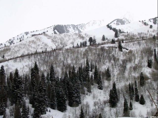 87 N UPPER WHITTEMORE DR E, Springville, UT 84663