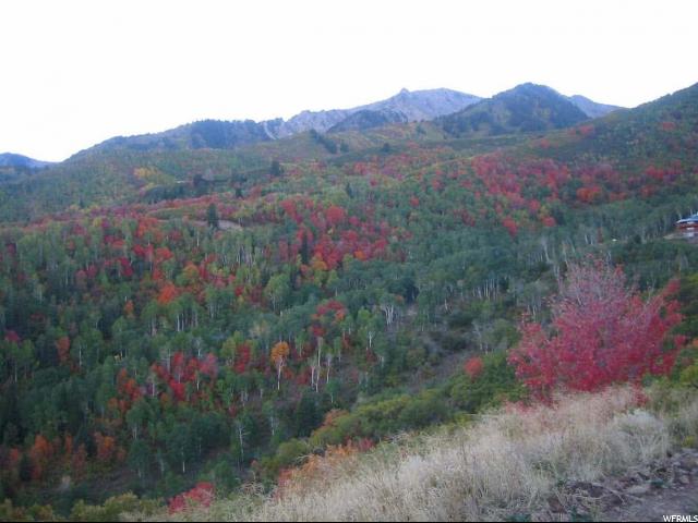 87 N UPPER WHITTEMORE DR E, Springville, UT 84663