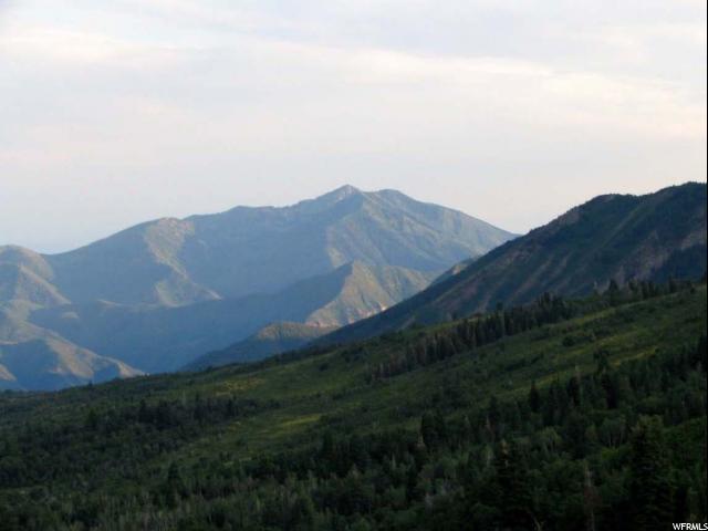 87 N UPPER WHITTEMORE DR E, Springville, UT 84663