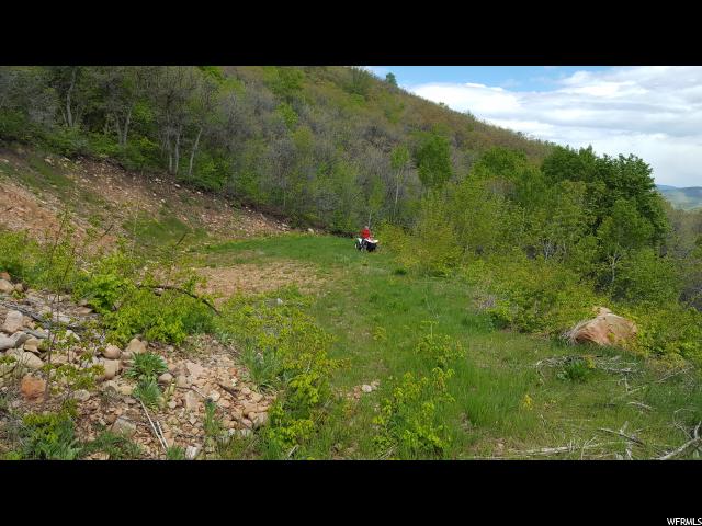 114 N E. OAKWOOD DR. N, Springville, UT 84663