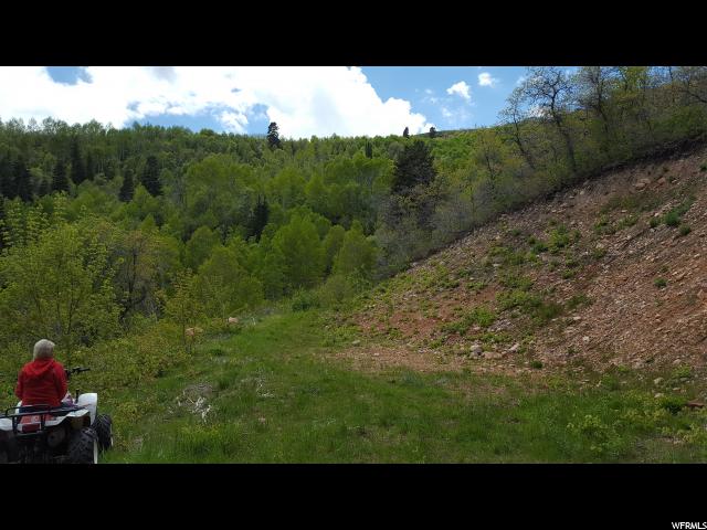 114 N E. OAKWOOD DR. N, Springville, UT 84663