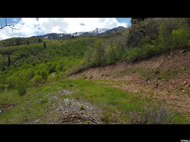 114 N E. OAKWOOD DR. N, Springville, UT 84663