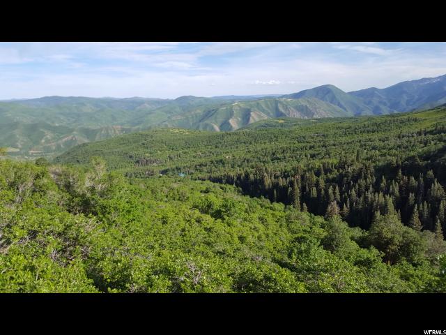 114 N E. OAKWOOD DR. N, Springville, UT 84663