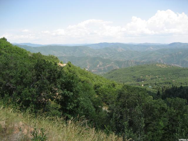 114 N E. OAKWOOD DR. N, Springville, UT 84663