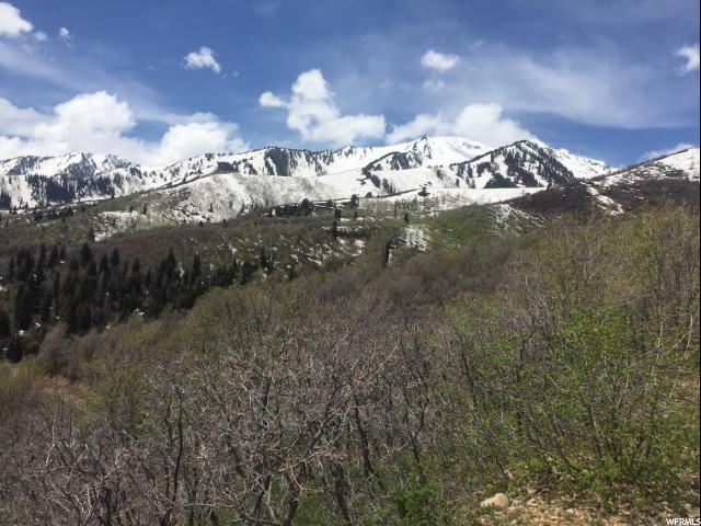 79 OAKWOOD DR., Springville, UT 84663