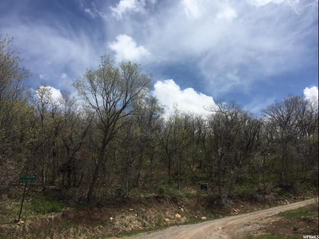 79 OAKWOOD DR., Springville, UT 84663