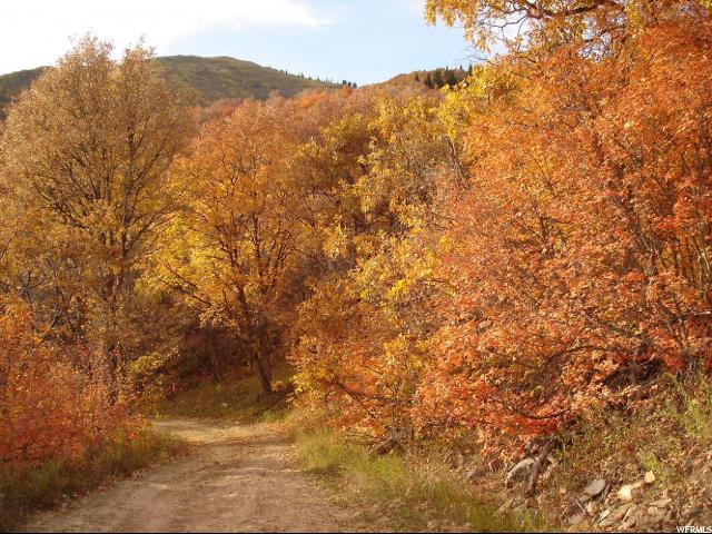 79 OAKWOOD DR., Springville, UT 84663