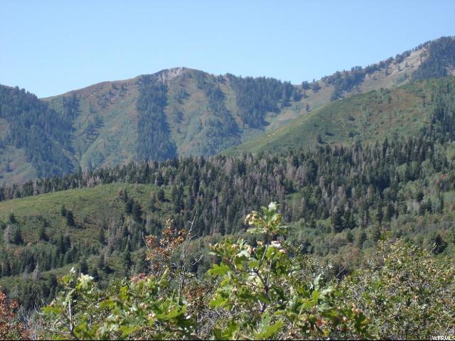 79 OAKWOOD DR., Springville, UT 84663