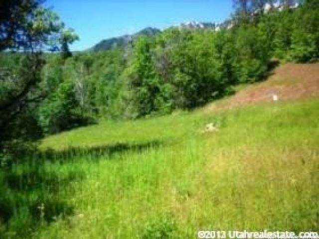 32 HIDE AWAY CIR N, Springville, UT 84663