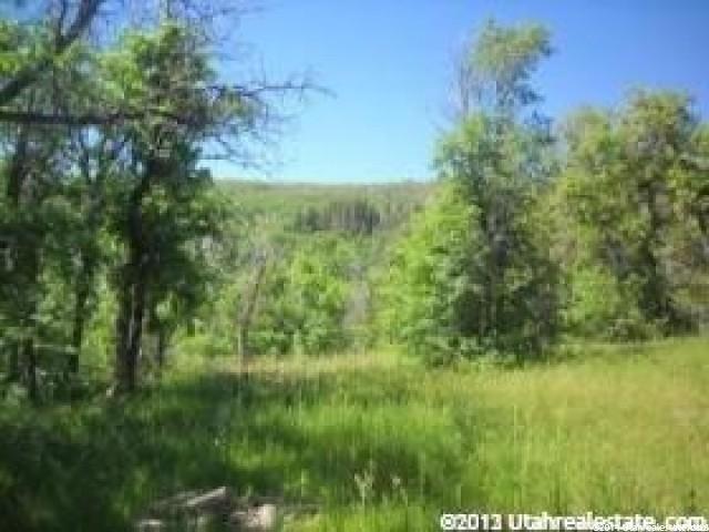 32 HIDE AWAY CIR N, Springville, UT 84663