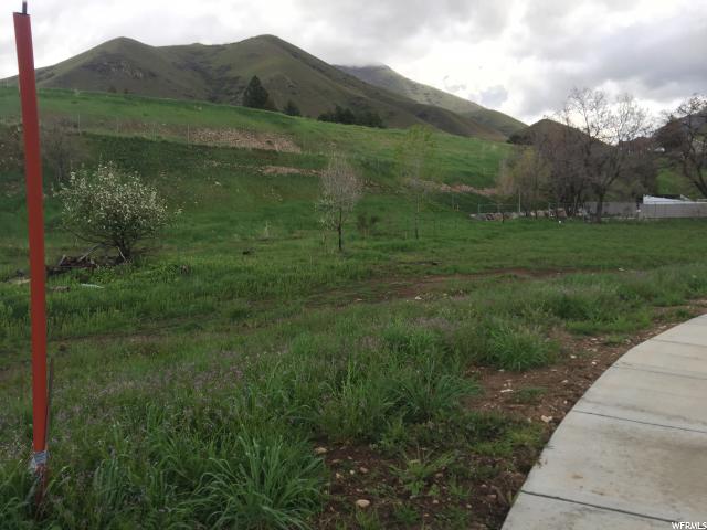 1001 S 1960 E, Springville, UT 84663