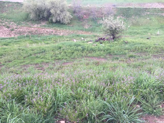 1001 S 1960 E, Springville, UT 84663