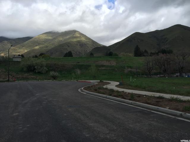 1001 S 1960 E, Springville, UT 84663
