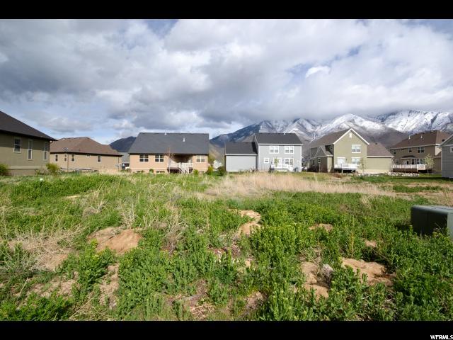1041 S Wildflower Ln, Mapleton, UT 84664