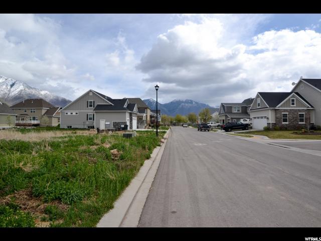 1041 S Wildflower Ln, Mapleton, UT 84664
