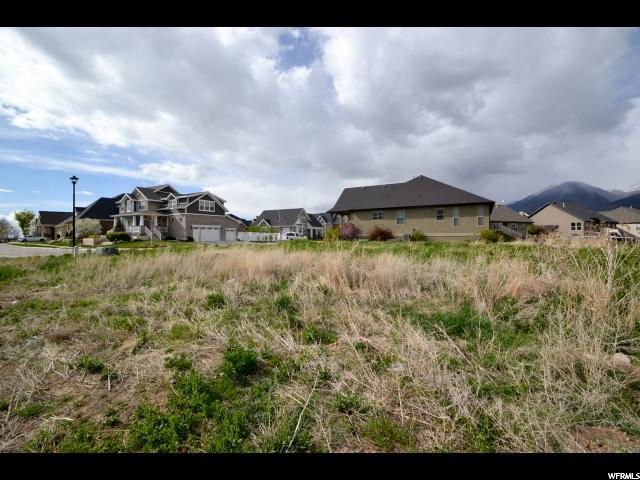 1041 S Wildflower Ln, Mapleton, UT 84664