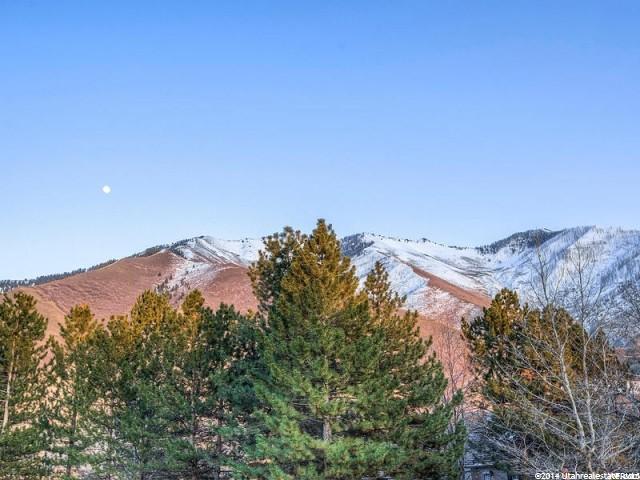 1350 S 1000 E, Mapleton, UT 84664
