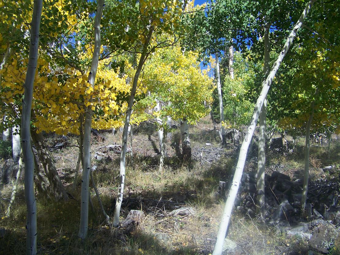 976 DOCTOR CREEK DRIVE, Fishlake, UT 84701