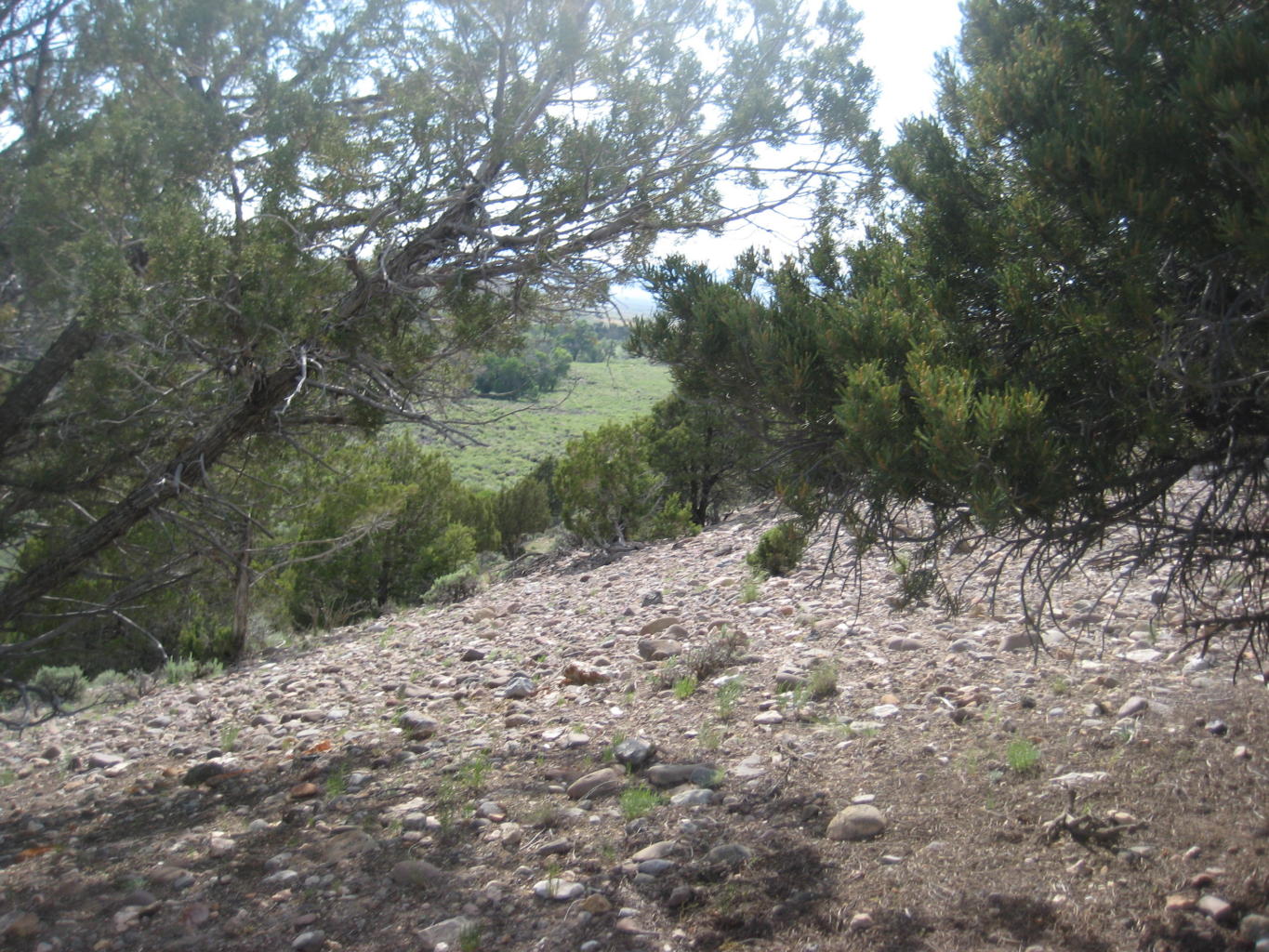 Lot 1 South Creek Subdivision, Beaver, UT 84713