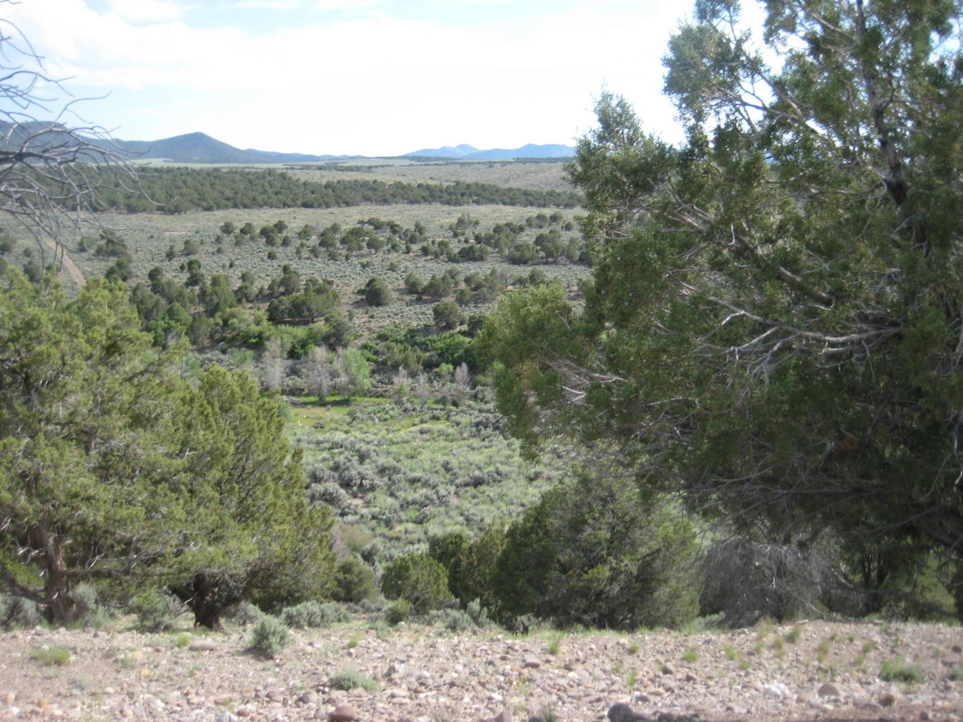Lot 1 South Creek Subdivision, Beaver, UT 84713