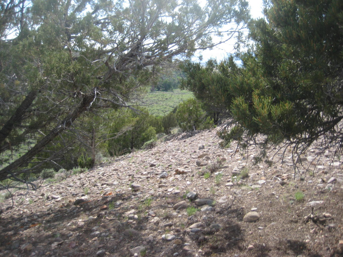 Lot 1 South Creek Subdivision, Beaver, UT 84713