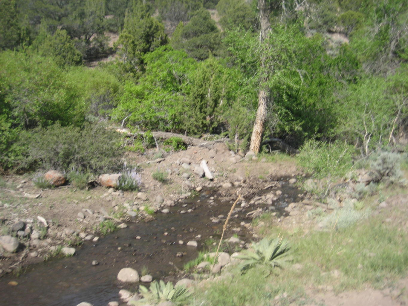 Lot 1 South Creek Subdivision, Beaver, UT 84713