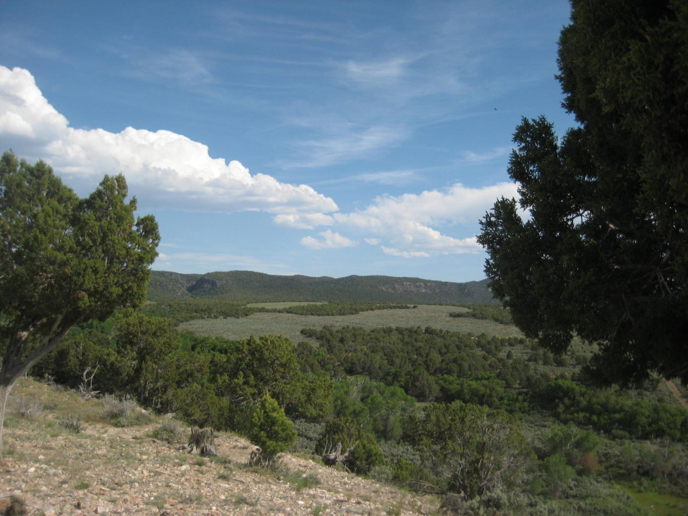 Lot 1 South Creek Subdivision, Beaver, UT 84713