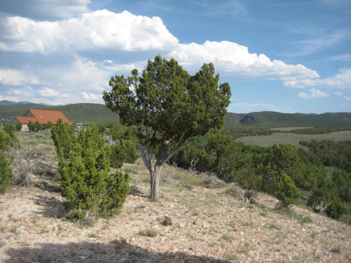 Lot 1 South Creek Subdivision, Beaver, UT 84713