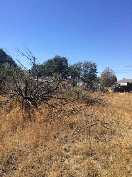 195 N 100 W, Beaver, UT 84713