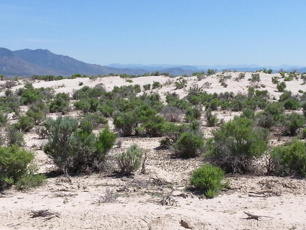 60 Ac Off Antelope Rd., Beryl, UT 84714