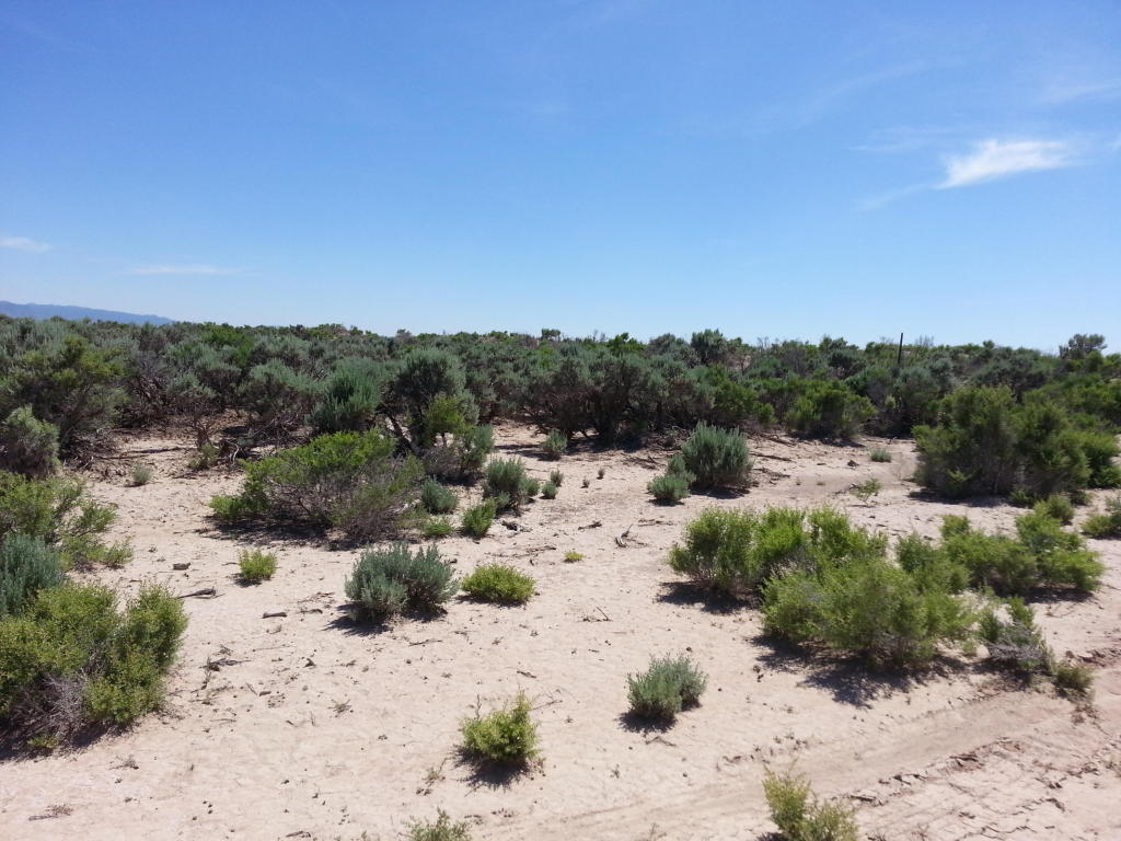 60 Ac Off Antelope Rd., Beryl, UT 84714