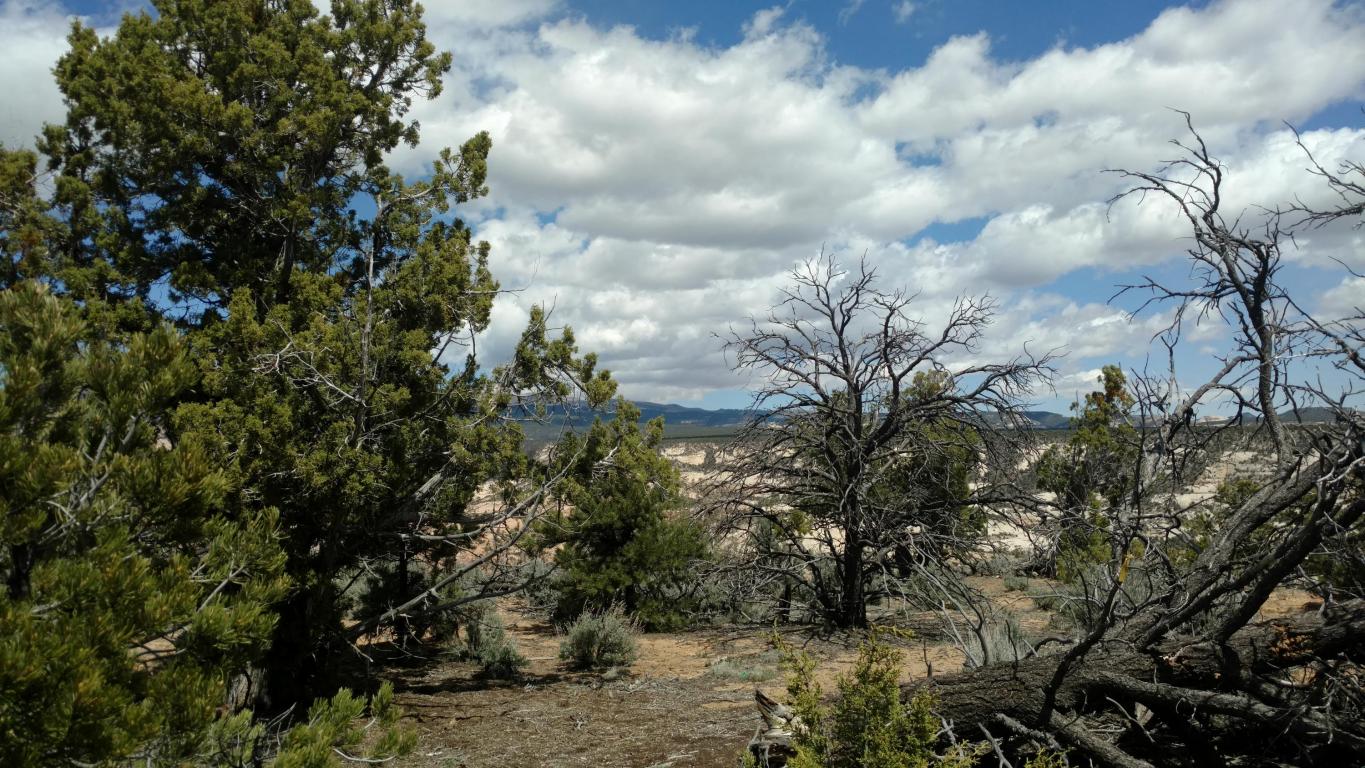 2190 E Long Neck DR E, Boulder, UT 84716
