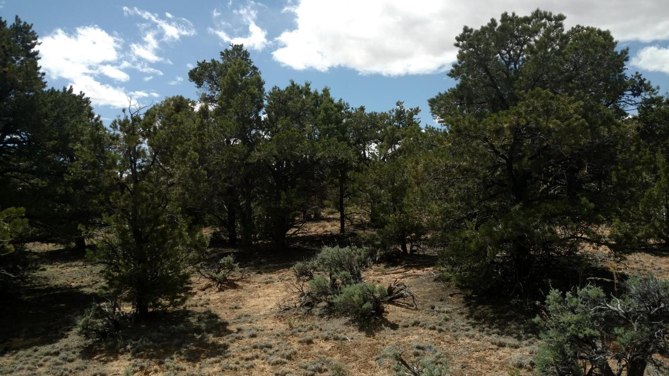 2190 E Long Neck DR E, Boulder, UT 84716