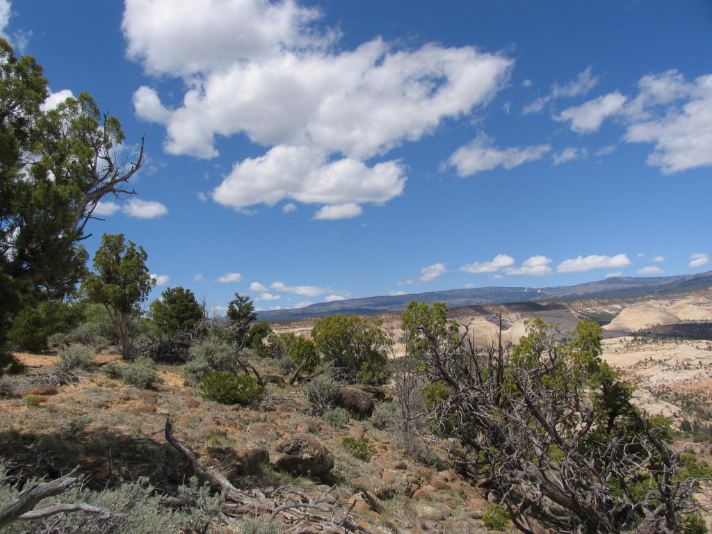2190 E Long Neck DR E, Boulder, UT 84716