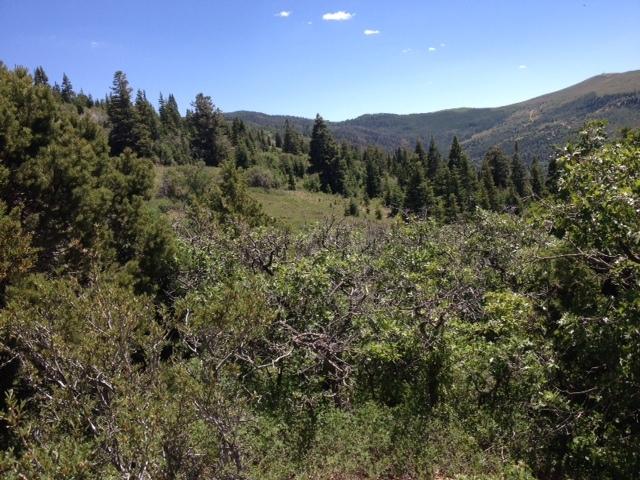 Lot 1 3200 Subdivision, Brian Head, UT 84719