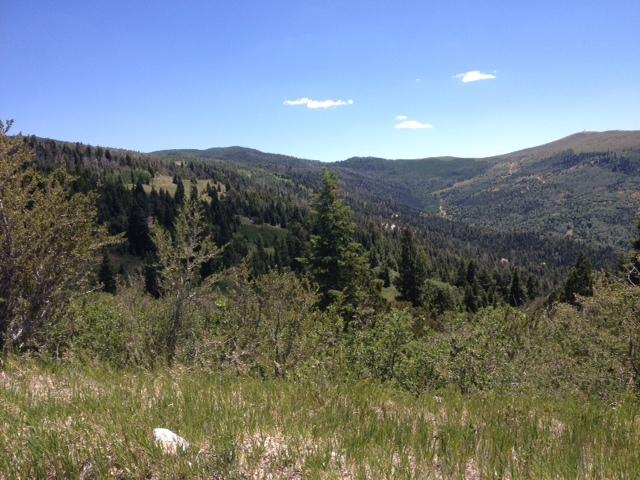 Lot 1 3200 Subdivision, Brian Head, UT 84719
