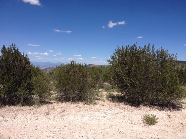 Lot 1 3200 Subdivision, Brian Head, UT 84719