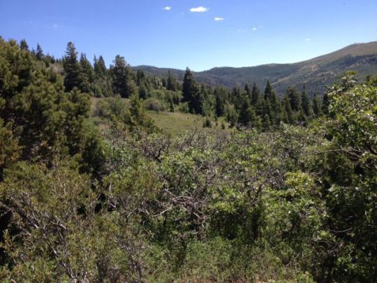 Lot 1 3200 Subdivision, Brian Head, UT 84719