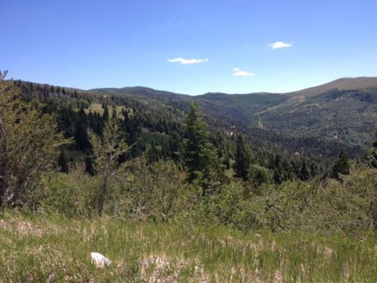 Lot 1 3200 Subdivision, Brian Head, UT 84719