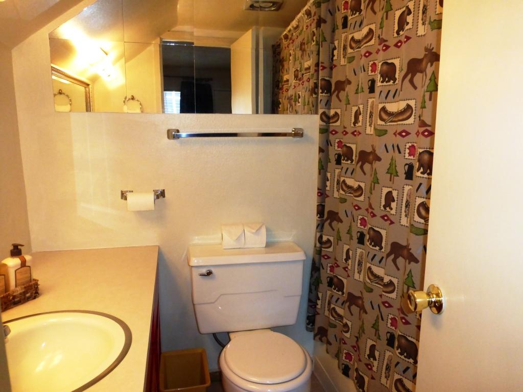 312 S Hwy 143, Brian Head, UT 84719