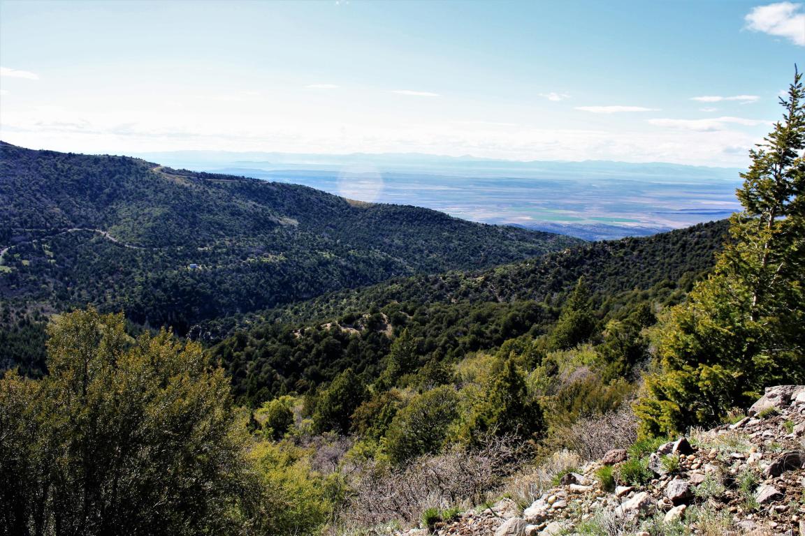 3217 S Hillside DR, Brian Head, UT 84719