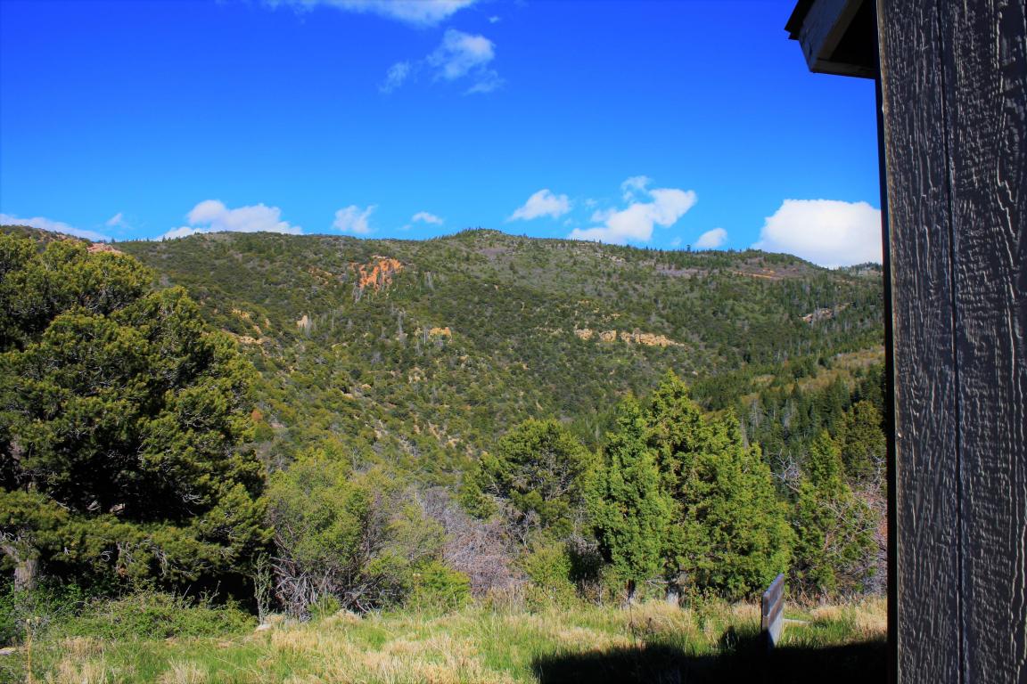 3217 S Hillside DR, Brian Head, UT 84719