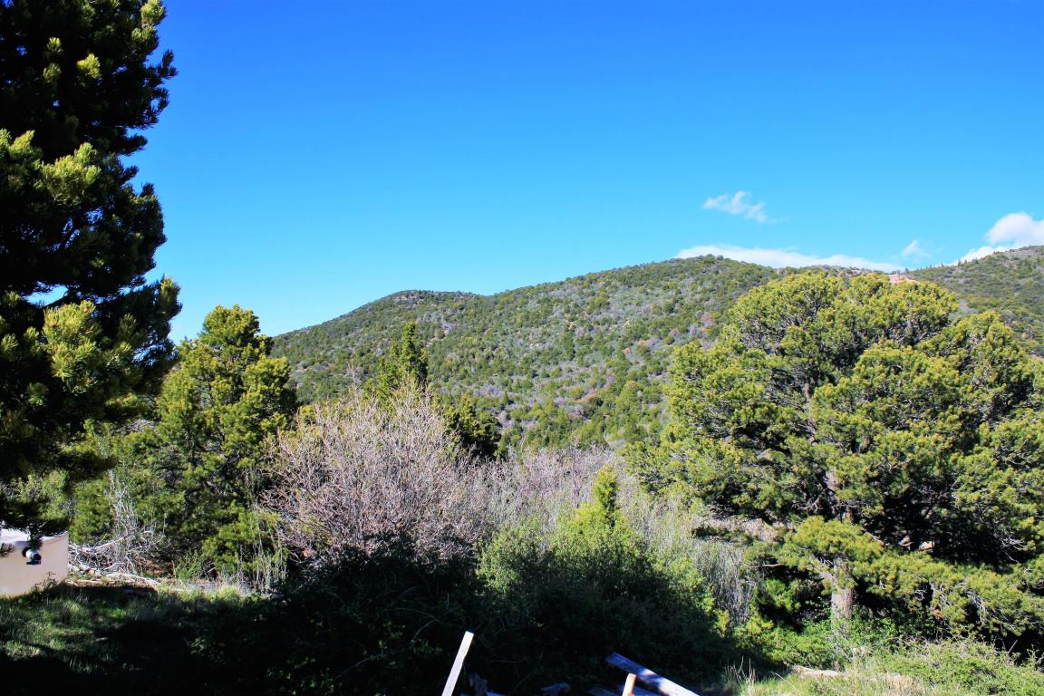3217 S Hillside DR, Brian Head, UT 84719