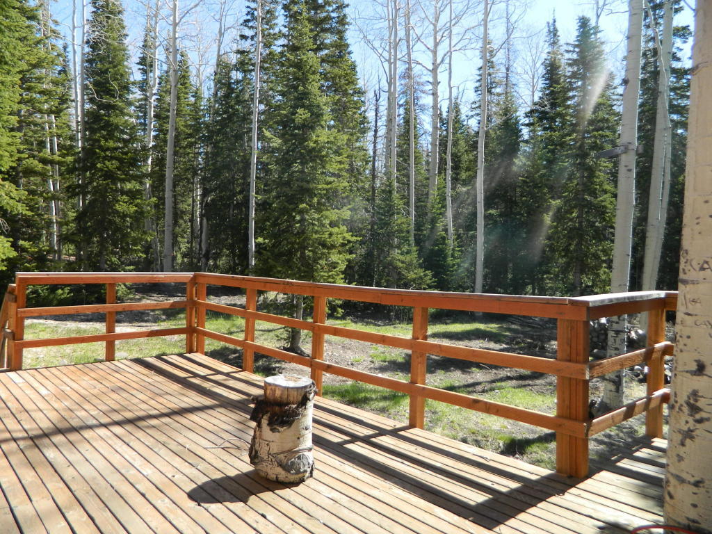266 Rue Jolley, Brian Head, UT 84719